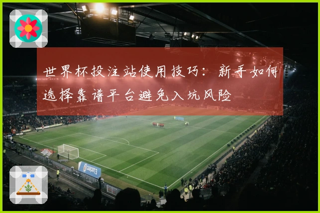 世界杯投注站使用技巧：新手如何选择靠谱平台避免入坑风险