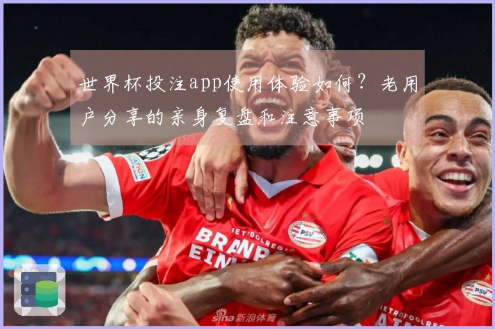 世界杯投注app使用体验如何？老用户分享的亲身复盘和注意事项