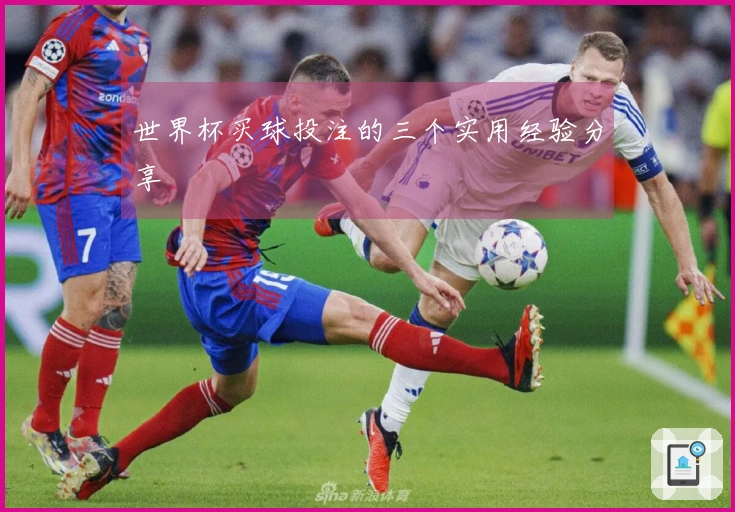 世界杯买球投注的三个实用经验分享