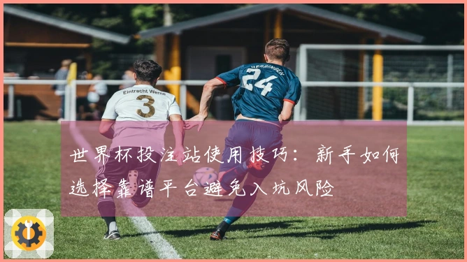 世界杯投注站使用技巧：新手如何选择靠谱平台避免入坑风险