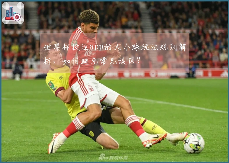 世界杯投注app的大小球玩法规则解析，如何避免常见误区？
