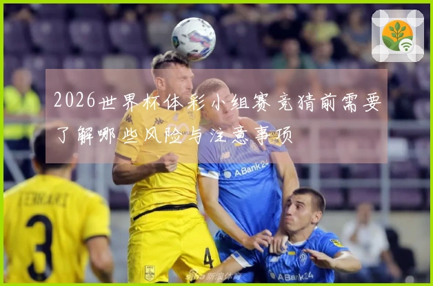 2026世界杯体彩小组赛竞猜前需要了解哪些风险与注意事项