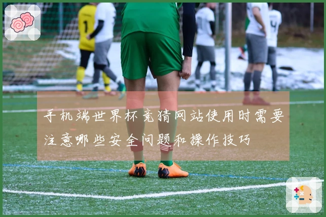 手机端世界杯竞猜网站使用时需要注意哪些安全问题和操作技巧