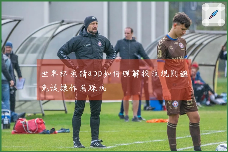 世界杯竞猜app如何理解投注规则避免误操作或踩坑