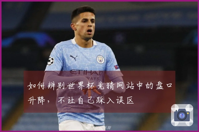 如何辨别世界杯竞猜网站中的盘口升降，不让自己踩入误区