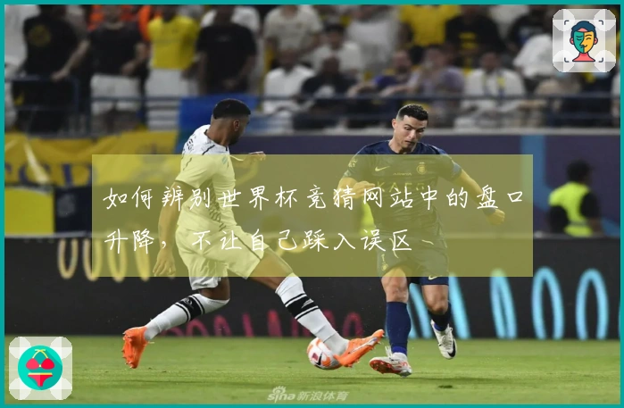如何辨别世界杯竞猜网站中的盘口升降，不让自己踩入误区