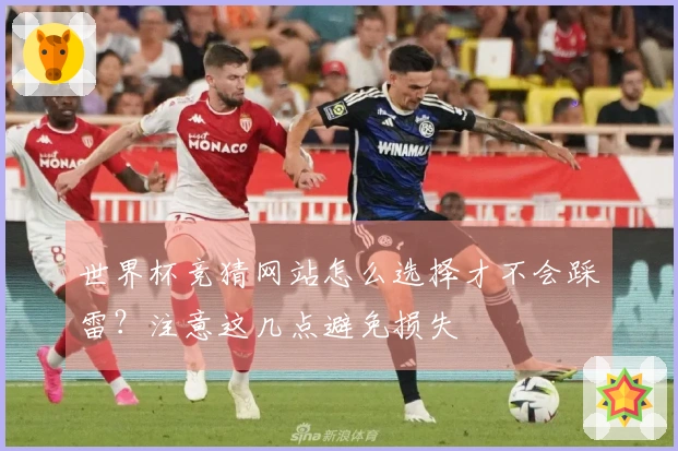 世界杯竞猜网站怎么选择才不会踩雷？注意这几点避免损失