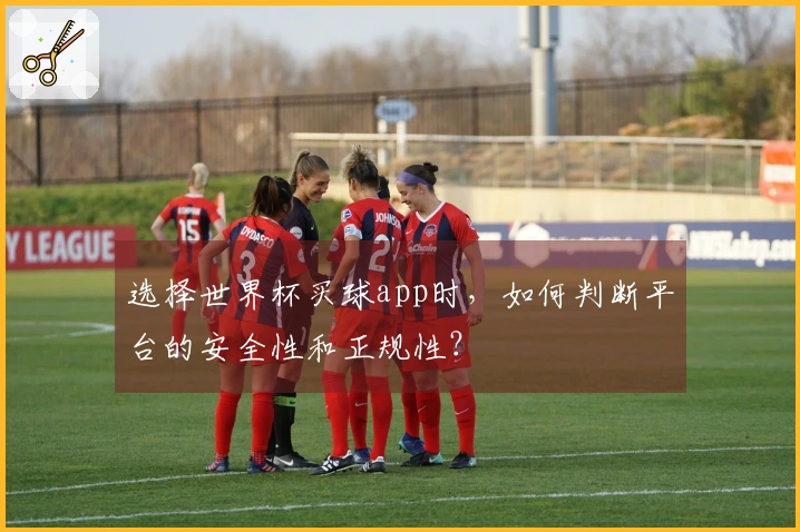 选择世界杯买球app时，如何判断平台的安全性和正规性？