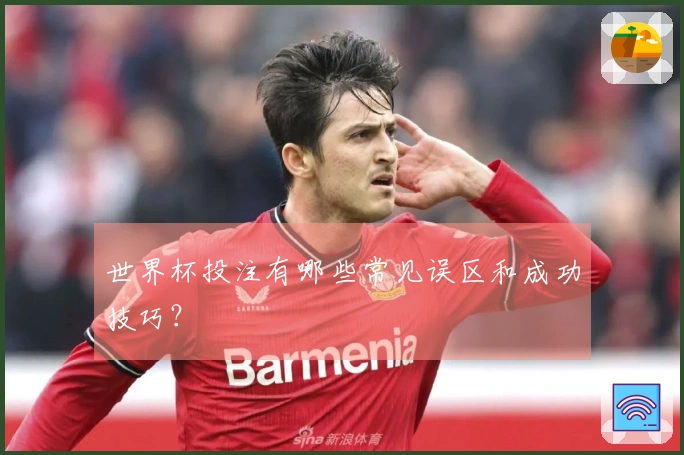 世界杯投注有哪些常见误区和成功技巧？